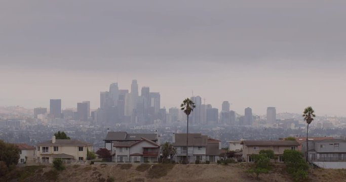 Downtown Los Angeles city skyline with houses, palm trees and wild plants in the foreground. Tilt down from clouds 4K