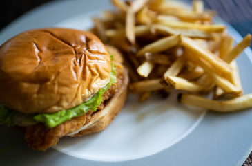 Hamburger and french fries 