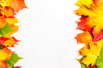 Autumn frame composition with autumn leaves on white background with Copy space.  Flat lay, top view.