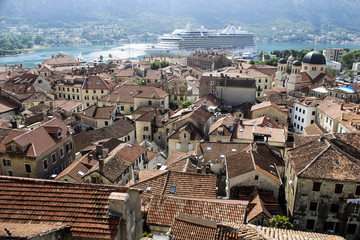 kotor