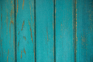 green wood structure as a background texture vignette