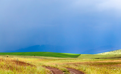 Fototapeta premium storm storm in the wheat field