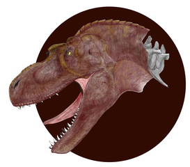 アリオラムス レモータス 学名 小種名 ティラノサウルス 科としてはやや小型 特徴は鼻のあたりから連なる小さな突起と細長い頭部 再現のための資料となる骨格の化石が少なく かなりの部分を他の原始的な白亜紀後期の ティラノサウルス科の恐竜から補完したイラスト