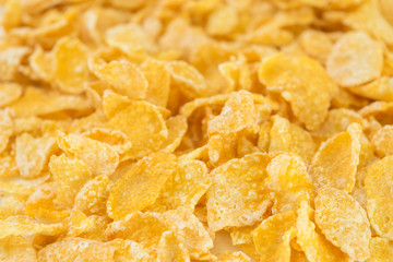 Corn Flakes on white background in close up