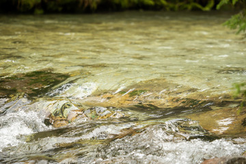 A river of clear water flows fast