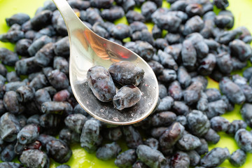three honeysuckle berries in a metal spoon on the background of other honeysuckle berries