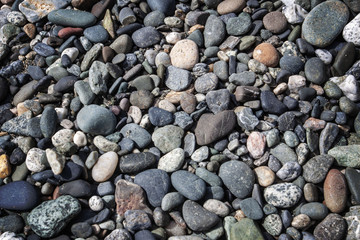 Colorful River Rocks