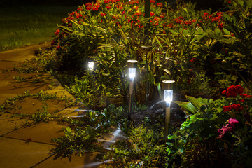 Night garden LED lights with a blue glow.