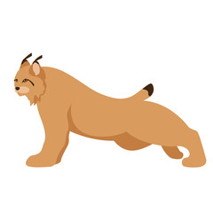 lynx  vector illustration flat style profile side