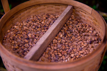 Kopi Luwak is the most expensive coffee in the world, also called as Cat Poop Coffee. It has been produced from the coffee beans which has been digested by a certain Indonesian civet cat.