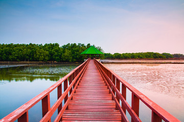 red bridge travel in morning at sea and beach sunlight beauty in nature