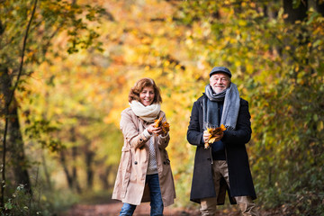 Senior couple on a walk in a forest in an autumn nature, holding leaves.