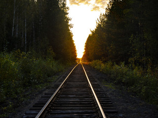 Fototapeta na wymiar railway in autumn forest