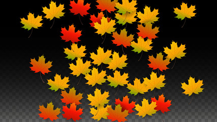 September Vector Background with Golden Falling Leaves. Autumn Illustration with Maple Red, Orange, Yellow Foliage. Isolated Leaf on Transparent Background. Bright Swirl. Suitable for Posters.
