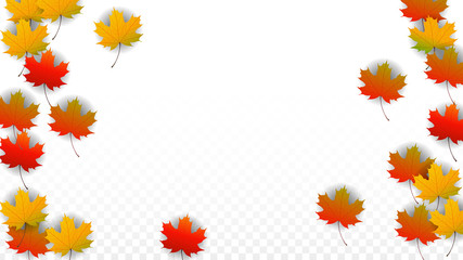 Fototapeta premium September Vector Background with Golden Falling Leaves. Autumn Illustration with Maple Red, Orange, Yellow Foliage. Isolated Leaf on Transparent Background. Bright Swirl. Suitable for Posters.