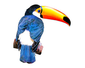 Realistic Illustation Toucan Toco bird sitting back on a branch isolated on white background.  Also known as the common toucan