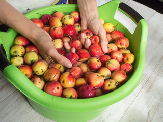 Hands washed apples.