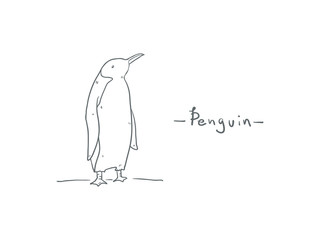 Penguin drawing cartoon doodle