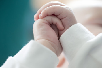 Hands of a baby close-up. Newborn hands.