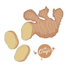 hand drawn ginger root, spicy ingredient, ginger logo, healthy organic food, spice ginger isolated on white background, culinary herbs, label, food, natural healthy food, vector graphic to design