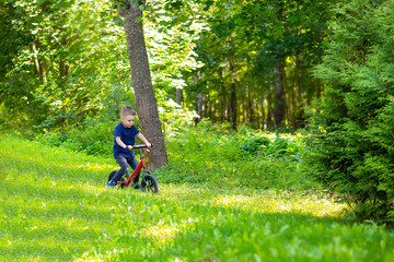 A boy in the forest is riding on balance bike. Childhood