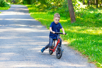 Boy riding bicycle in a park. Summer time