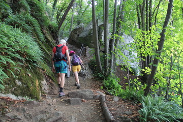 randonnée de Loubeyrat au Gour de Tazenat, 63