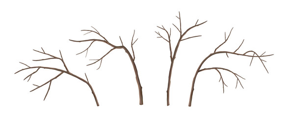 Vector Tree Branches - 222932573