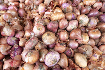 Rote Zwiebeln