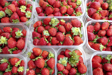 Erdbeeren im Körbchen
