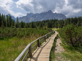 Holzsteg durch Hochmoor vor der Kulisse der Dolomiten, Südtirol, Italien