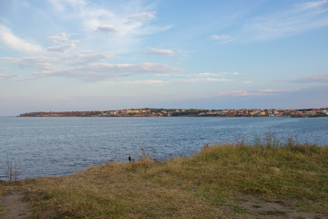 Coast with rocks and grass and the sea