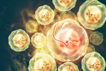 Human fetus on scientific background