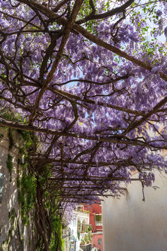 Walking The Streets Of Positano