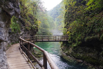 Fototapeta premium Vintgar Klamm w Słowenii