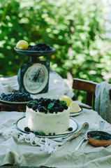 Blueberry lemon cake in a rustic garden