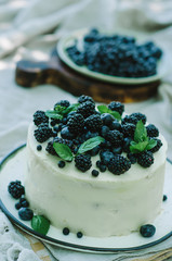 Blueberry lemon cake in a rustic garden
