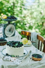 Blueberry lemon cake in a rustic garden