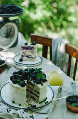 Blueberry lemon cake in a rustic garden
