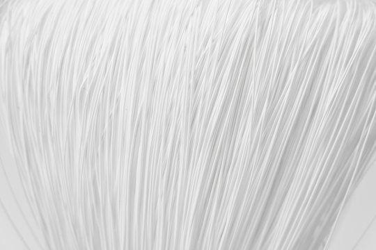 Filament Membrane In Water Filter Isolated On White Background.