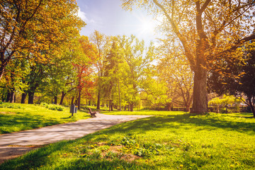 Magical autumn park with path and fantastic glow, fairytale landscape with red foliage