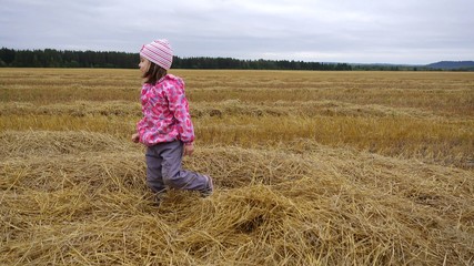 Naklejka na ściany i meble Child, girl 4-5 years old, playing in the field. Mowing grass, hay, autumn landscape