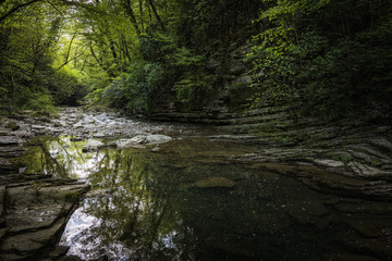 mountain river in the forest