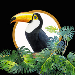 Toucan bird sitting on the branch with monstera.