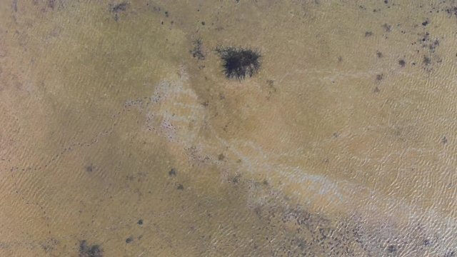 Ideal transparent bottom of the mar menor sea in the national park, algae growing on the bottom. as Salinas nature reserve in La Manga del Mar Menor, Europe, Spain.