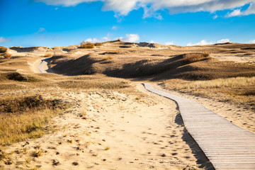 walking path in the Grey Dunes