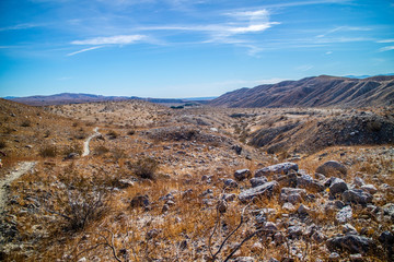 Thousand Palm Oasis Preserve Hike in Coachelle Valley at Palm Spring, California