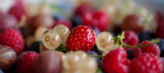 Beeren-Panorama. Nahaufnahme eines bunten Beerentellers.