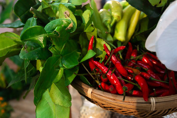 Chilli dip or chili paste of thai food with Vegetable
