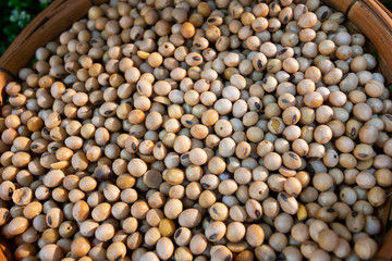 Dried soy beans in Bamboo basket
